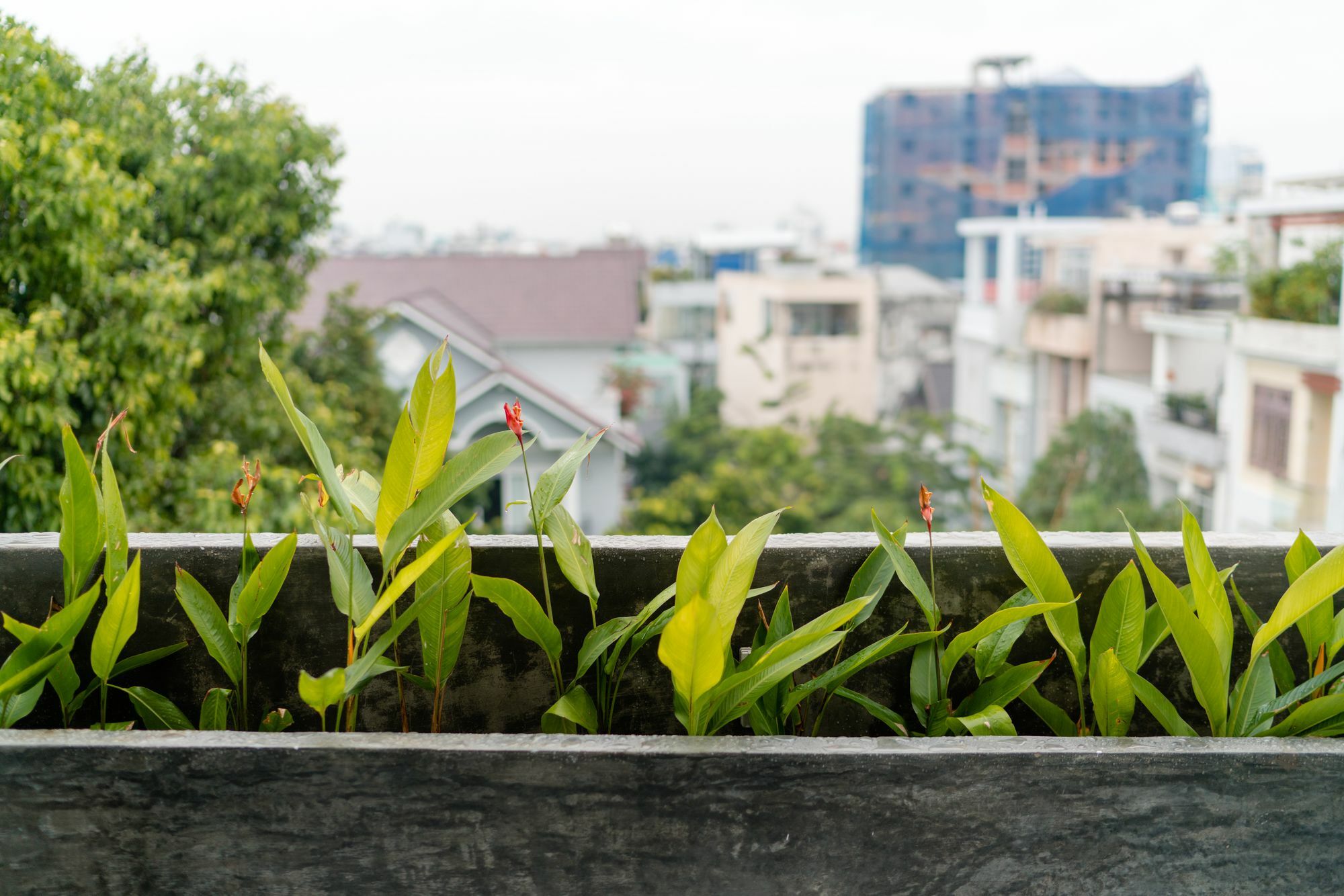 Iam Saigon Homestay 胡志明市 外观 照片